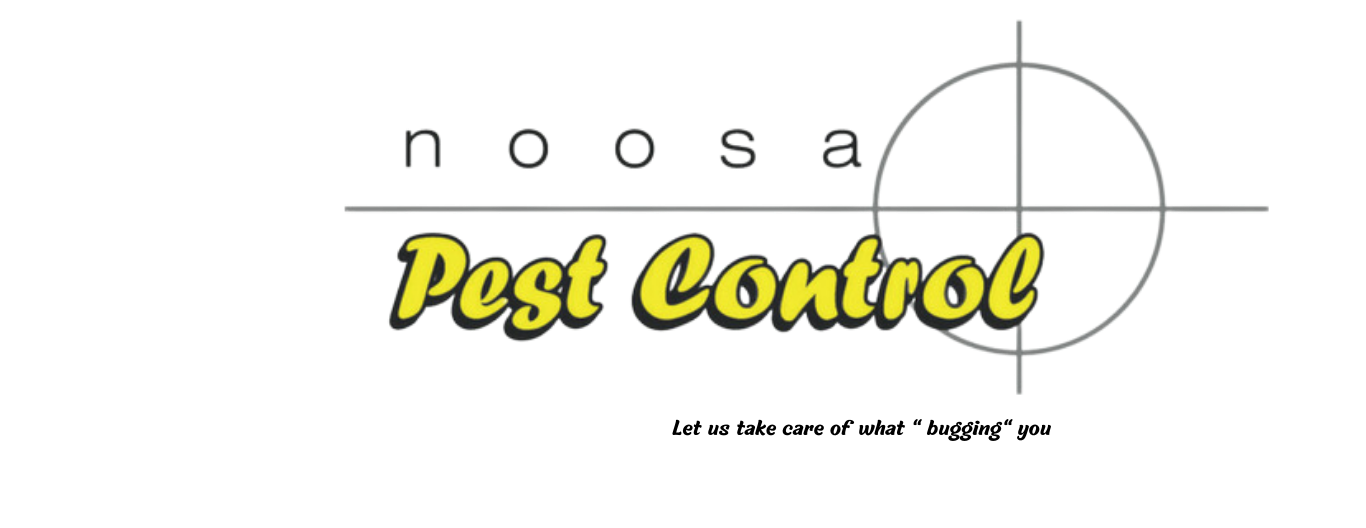 Noosa Pest Control